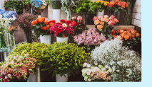 Fleurs © Senivpetro - freepik.com