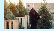 sapin ©Prostooleh-freepik.com