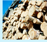 Bois ©pressfoto - freepik.com