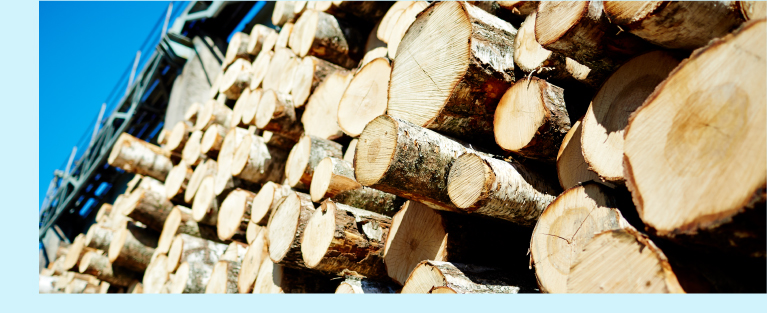 Bois ©pressfoto - freepik.com