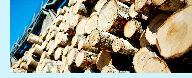 Bois ©pressfoto - freepik.com