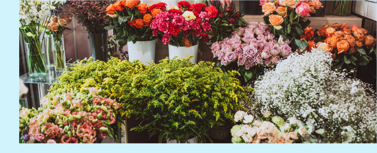 Fleurs © Senivpetro - freepik.com