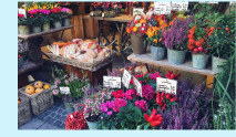 fleuriste © Komal Gahir - unsplash