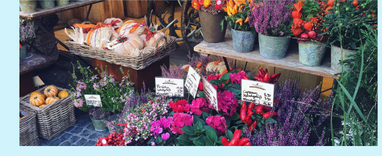 fleuriste © Komal Gahir - unsplash