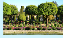 Jardin © Pierre Archi - unsplash