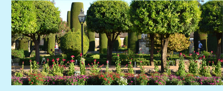 Jardin © Pierre Archi - unsplash